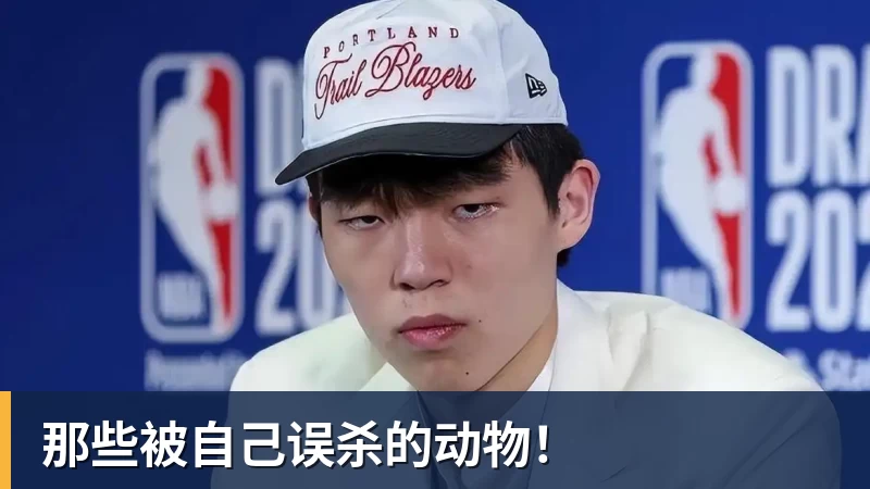 那些被自己误杀的动物！