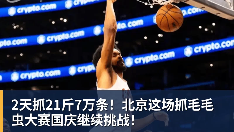 完美体育网址2天抓21斤7万条！北京这场抓毛毛虫大赛国庆继续挑战！